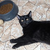 270222879_10221432522585382_6660049116522392582_n