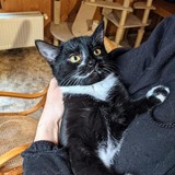 270081284_10221432519465304_7757595147542640888_n