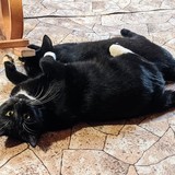 270192236_10221432518505280_6077188667477685511_n