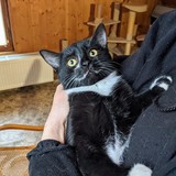 270218253_10221432520025318_2497421213863331480_n