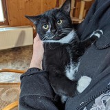 270225029_10221432520585332_3329617527814276667_n