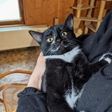 270225366_10221432518905290_595989788297014706_n