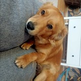 268087271_10216465303063900_3214111356849821864_n