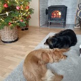 269711960_10216443339914835_8758629879243493454_n