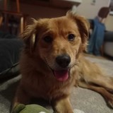 269770580_10216465300303831_3907142684696526125_n