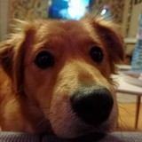 270549808_10216465288783543_52146488714563786_n