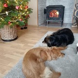 270778671_10216465284583438_277041701674888472_n