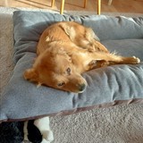 270943454_10216465282023374_5569572870644105069_n