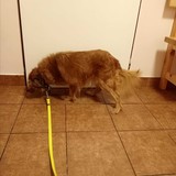 269327495_10216434359810338_9061651615503478584_n