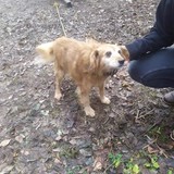 269711582_10216434350010093_7970566218174584820_n