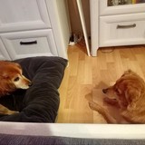 270286862_10216465291343607_4933371419271725368_n