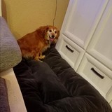 270794309_10216465292503636_3887978220573898681_n