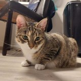 271985661_1155664778301659_3555805842717918093_n