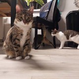 271988463_229220699377984_9172337882132475707_n