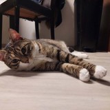 272031473_488091262717447_348960136751539059_n