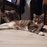 272040679_1144097643066078_4226490558900978660_n