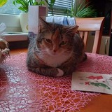 271489725_1015696905960757_8533193773518805606_n