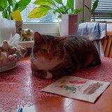 271646521_1121199905303812_4900088718406071283_n