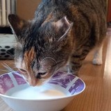 271781941_636537237563380_8377011248047428244_n