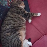 271823297_502759907850026_6652990525830598082_n