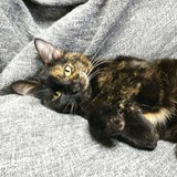 272896631_10221593010517480_7198368285996601811_n