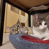 272110158_456307569465649_9068362870485063137_n