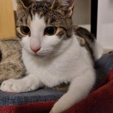 272207107_4854767241270457_3254471613619650166_n