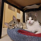 272291170_643377880316213_2341527990854196547_n