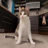 272438157_825072508347872_330637011347495755_n