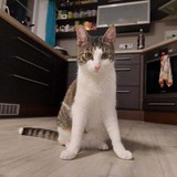 272622296_270342268536551_1261026610237866692_n