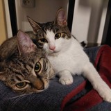 271977981_974816069815206_513912963595499355_n