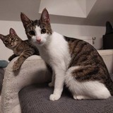 271983156_453933139688074_2307131833970077392_n