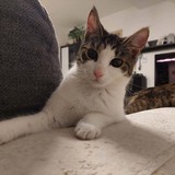 272023809_615127479717349_4529007320312358715_n