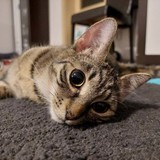 271906775_4809019512510880_5668302484627848185_n