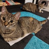 271924948_5246779461998865_6235874416992037301_n