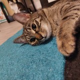 271954217_947076859531758_7643321068935959831_n