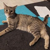 272001284_674439666922255_3077809907362217697_n