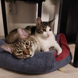 272011348_721956282137229_7255274732847467594_n