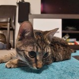 272181070_4753641578086553_4821950175616217229_n