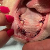 244048938_2014790725373272_7822972757769130617_n