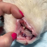 244360912_3083387915273237_2151757166174026324_n