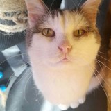 270589966_503785854372964_1762922886963689469_n