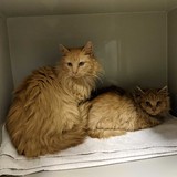 273437000_10221632859873689_132772513902123649_n