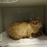 273450445_10221632859433678_3528060822158265092_n