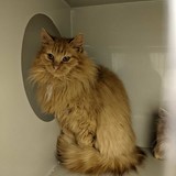 273478459_10221632858953666_2471263942455339193_n