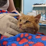 273433196_10221632865513830_4981402900255399990_n