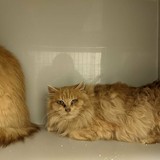 273437378_10221632858753661_8064206439875924579_n