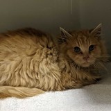 273437379_10221632860833713_2954994730519428017_n