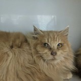 273439775_10221632857433628_3654311532681429669_n