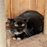 PXL_20220212_130923675~2